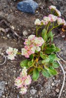 Day 1 - 20160808_165648