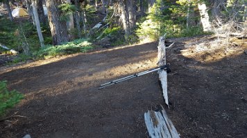 Day 3 - After 23 miles Camp at Alder Creek in burn area