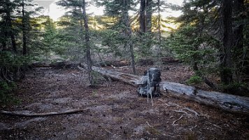 Day 3 - Camped here with growls and rumbles in the night