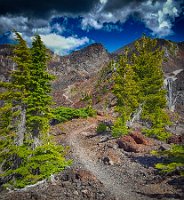 Day 3 - Long Trail Ahead 2