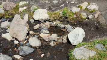 Day 3 - Minnie Scott Spring - no filtering required