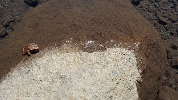 Day 3 - Reese Lake Buddy