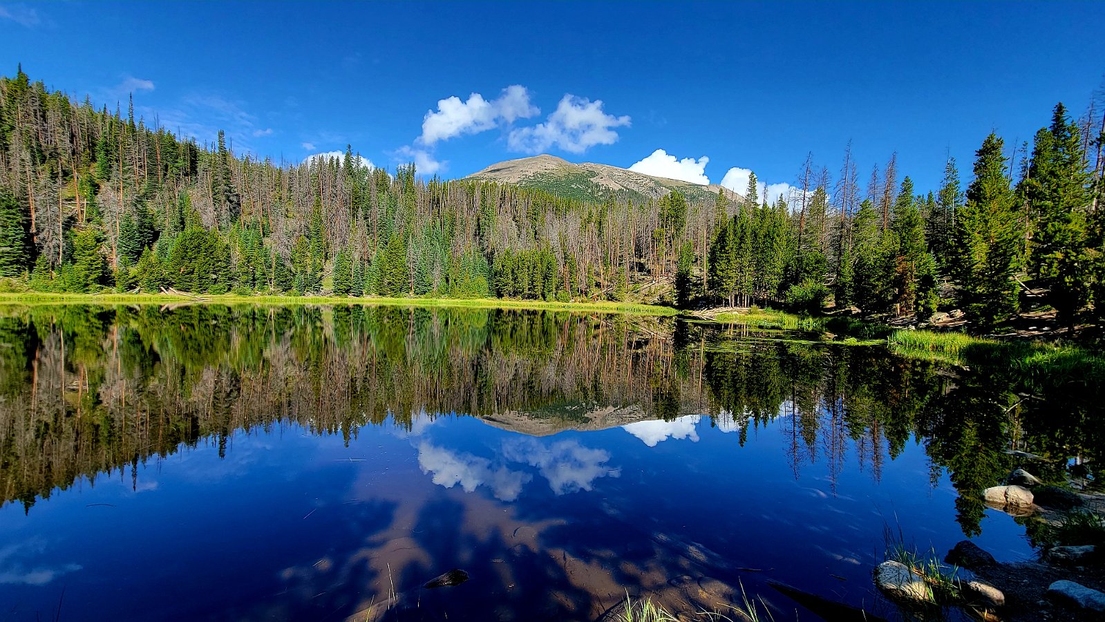 Lily Pad Lake and Buffalo Mountain