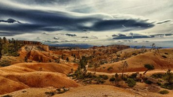 Navajo-Queens Garden and more (25)