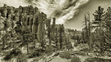 Day 2 - Fairyland Loop (43)