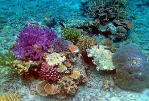 A001_10220913_C216_frame_0_04_1f_edited