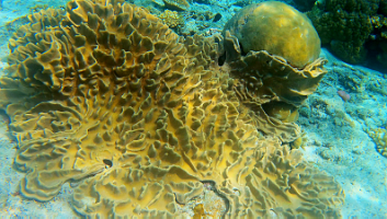 A001_10220924_C227_000016