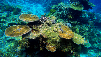 A001_10220949_C250_000023