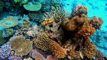 A001_10220951_C252_000003