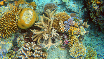 A001_10220955_C255_000006