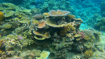 A001_10220959_C259_000016