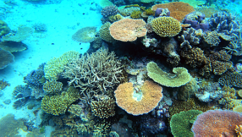 A001_10221002_C262_000014