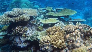 A001_10221007_C268_000029