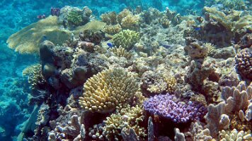 frame_0_25_23f_edited