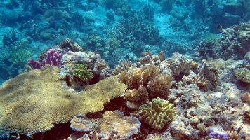 frame_0_31_3f_edited