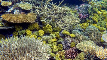 stunning stills_frame_0_09_58f_edited