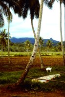 12.78 Indian Village Stay Looking out window