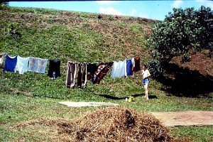 1980 Bure Cleaning day with grass, mats, and clotes on the clothesline
