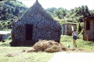 1980 Bure House Cleaning grass out of bure