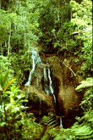 waterfall whee the pipo starts