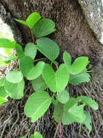 20191020044824_IMG_0496