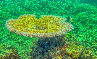 20181001_185236 128_HDR