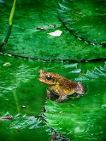 20191023042054_IMG_0613