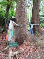 20191023042410_IMG_0615