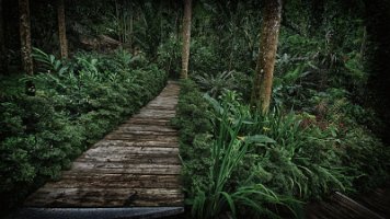 20191024_112357-Rod-PC