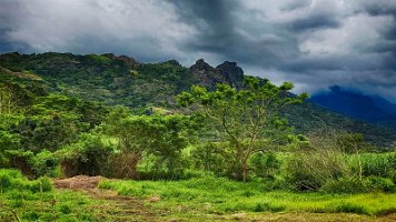 20191024_125954-Rod-PC