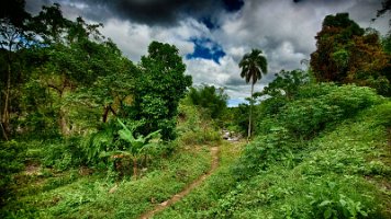 20191026_102355-Rod-PC