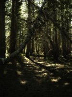 DSCF0169