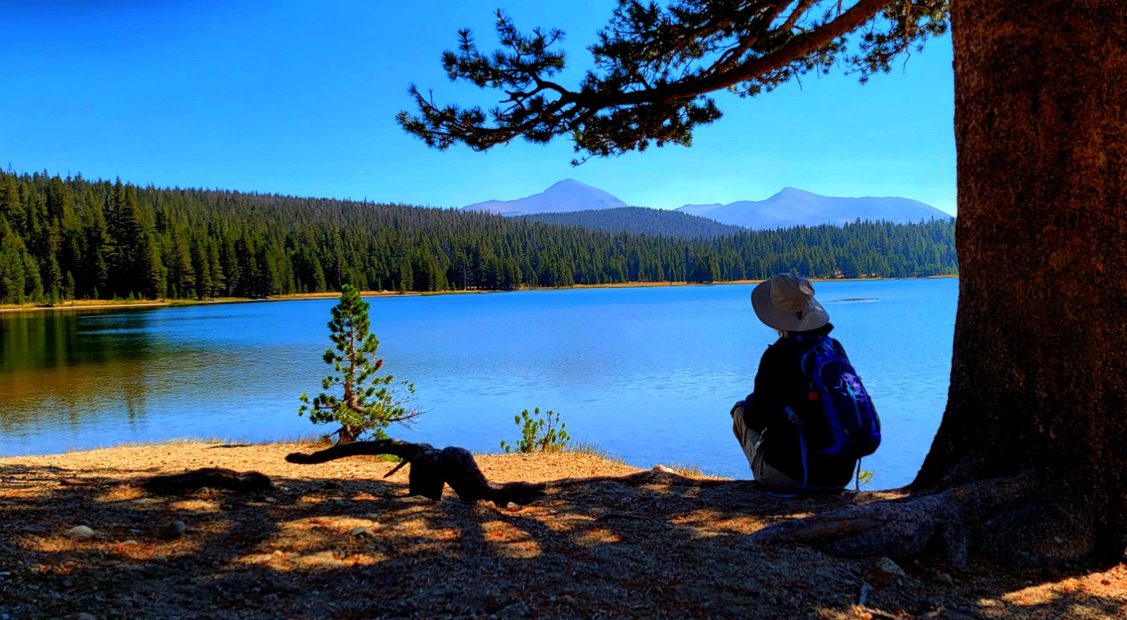 Dog Lake