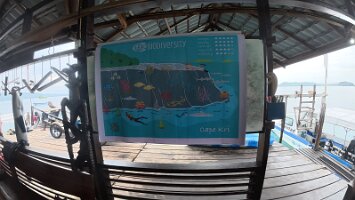 dji_mimo_20260125_075306_0_1769311279844_photo