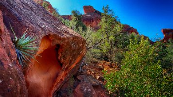 Munds Wagon Cow Pies and Hangover (21)