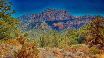 Munds Wagon Cow Pies and Hangover (26)