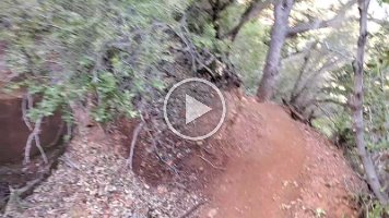 Munds Wagon Cow Pies and Hangover Video (3)