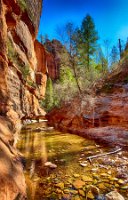West Fork Trail (16)