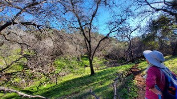 small green valleys