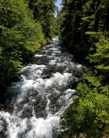 18 - The McKenzie River 2